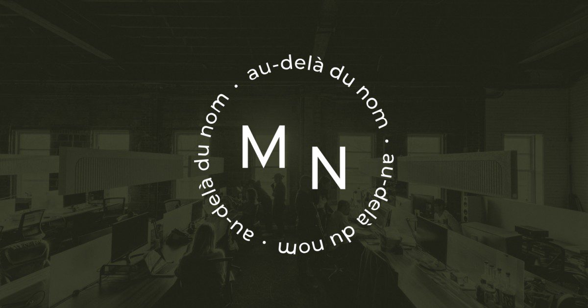 Logo Metahnomis